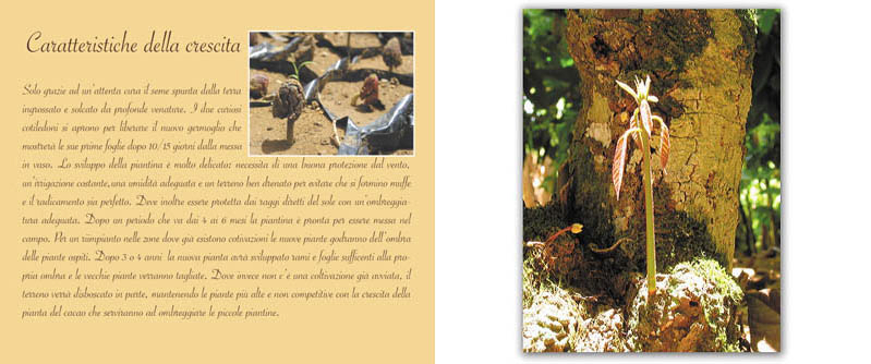 pag8.jpg