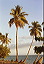 photoshop_2.5_-_6.0__1059