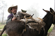 lbfpulque23