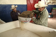 lbfpulque28