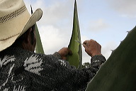 lbfpulque42