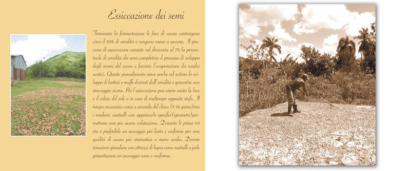 pag30.jpg