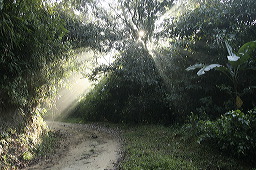 lbfcacaoaxaca01