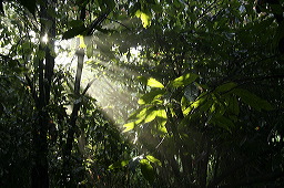 lbfcacaoaxaca02