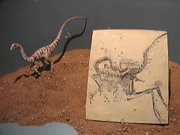 lbfmusdes09