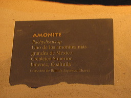 lbfmusdes24